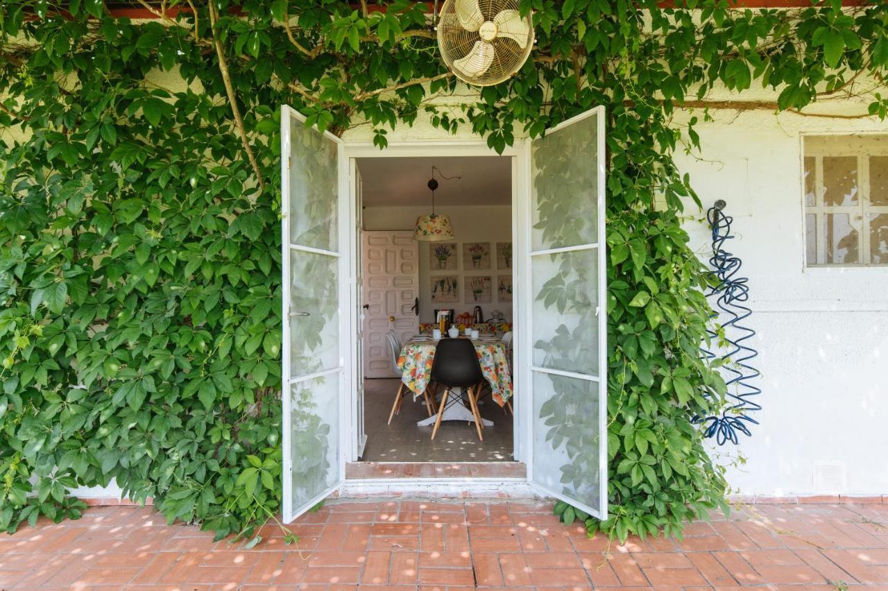 La Casita De Hato Pinos, Un Rincon En Donana Aznalcazar Luaran gambar